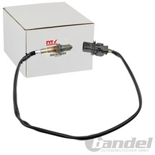 NTY LAMBDASONDE passend für